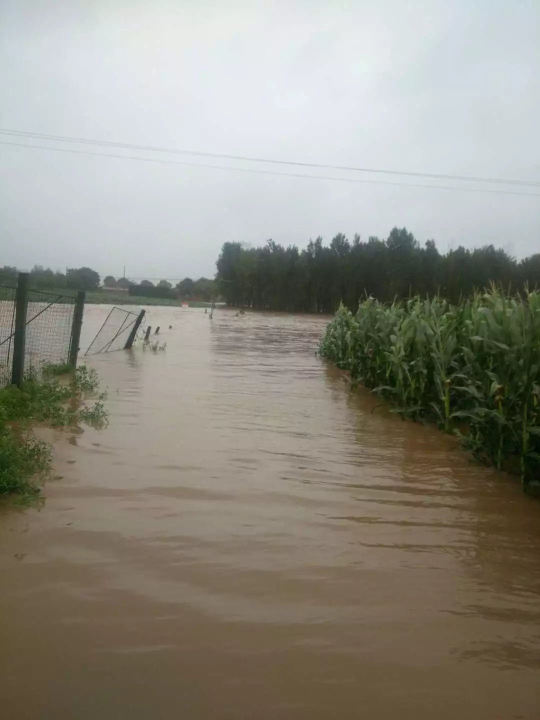 河北邯郸洪水图片