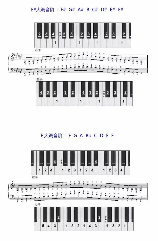 学琴必备——钢琴音阶指法图