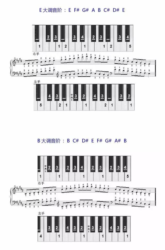 学琴必备-钢琴音阶指法图