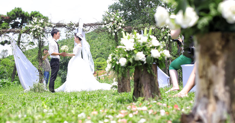 芜湖草坪婚礼图片