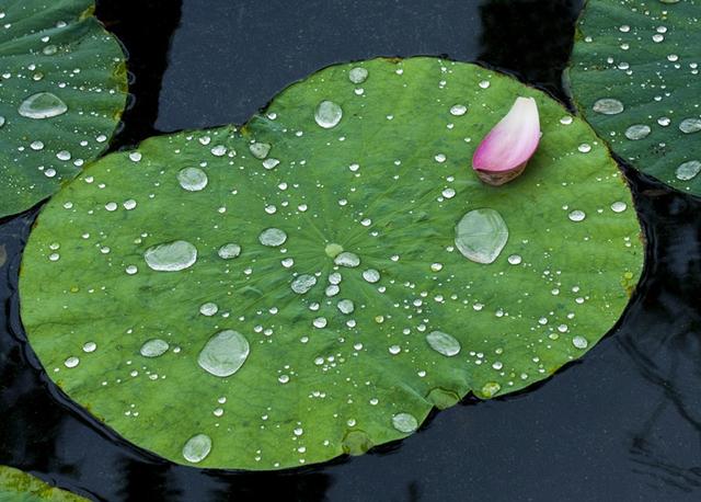 雨后美景图片