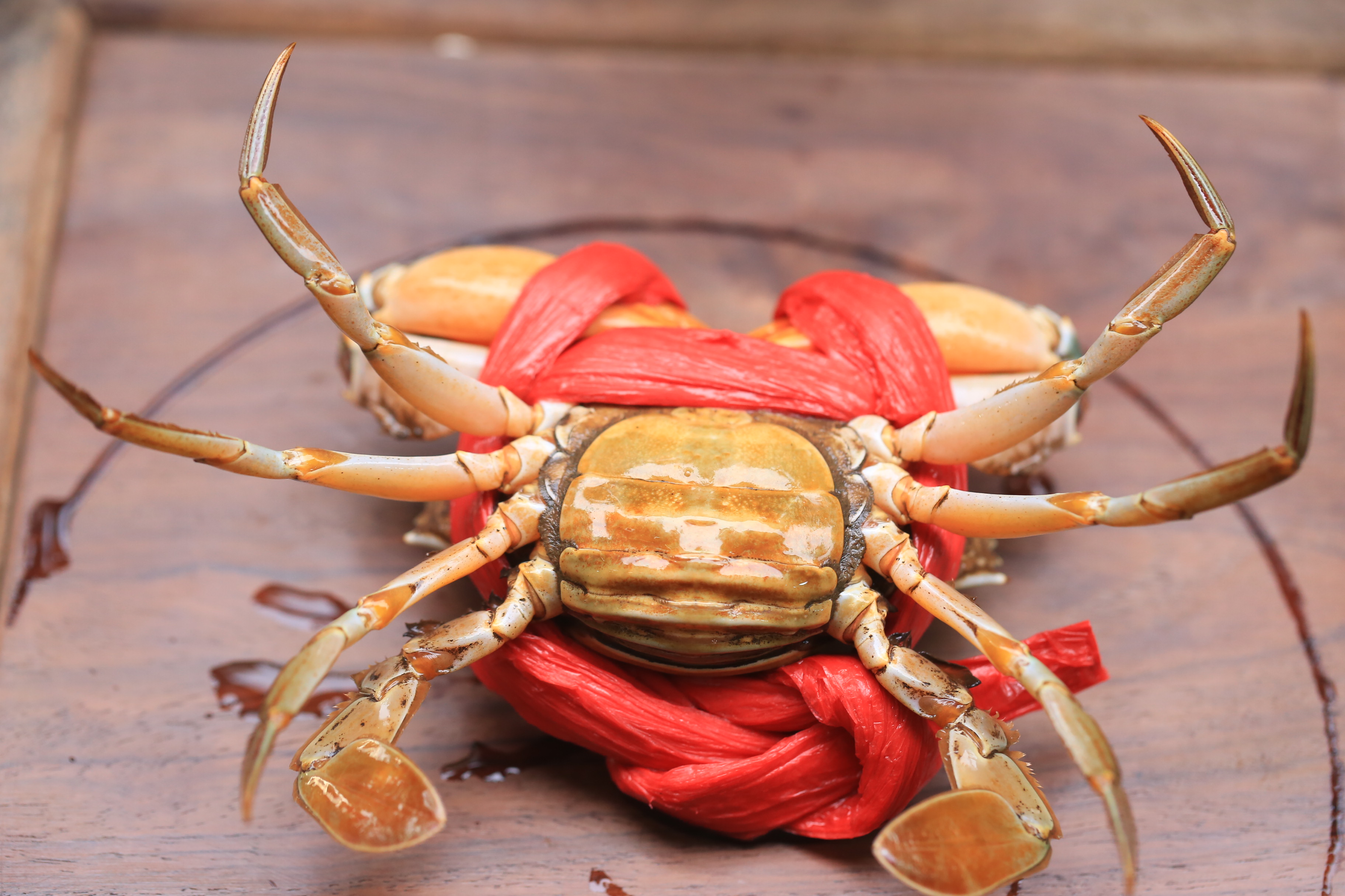 为了不破坏螃蟹本身的营养,又能保持最足的鲜美,进食前先用冰把鲜活的