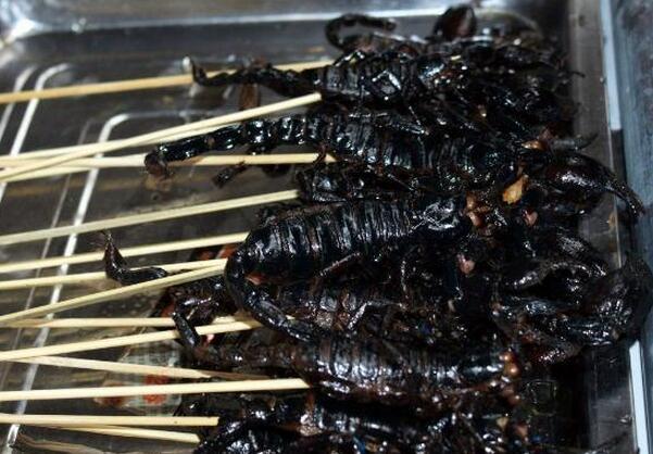 苏州小吃美食文化节上的黑蝎子