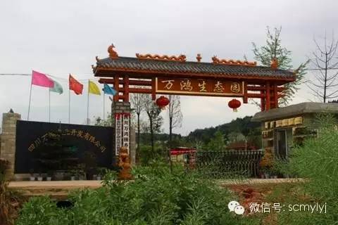 万鸿生态园是以生态观光旅游,垂钓游玩,休闲娱乐,静态养生,动态养老等