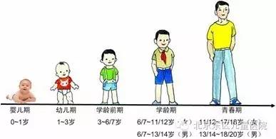 上海市儿童生长发育状况和父母文化程度及职业关系分析