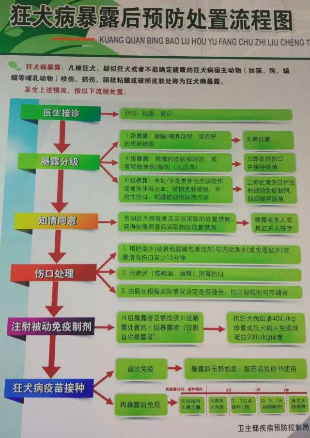 被狗咬了打狂犬疫苗,被老鼠咬了打啥?