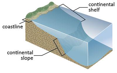 大陆架和大陆坡图片