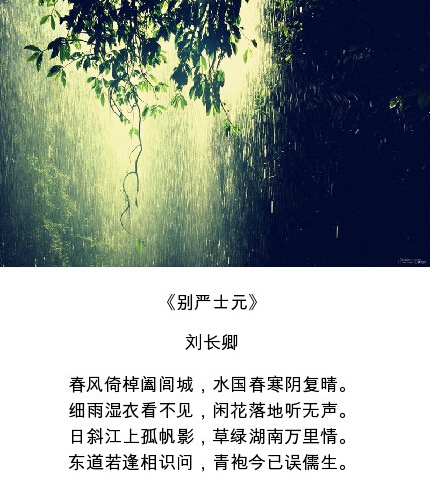 九首吟诵春雨的诗哪首让你忘记外面的凄雨冷风