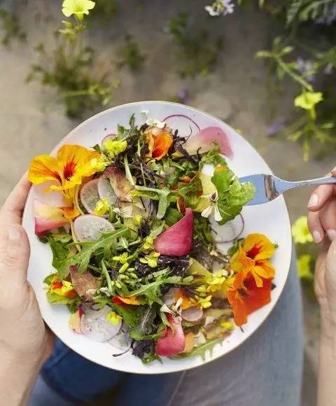 当鲜花遇到美食美就诞生了