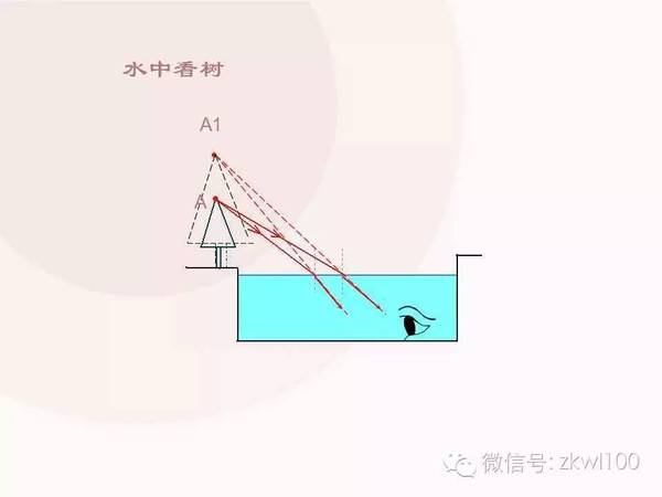 八年级上册粤教版34探究光的折射规律