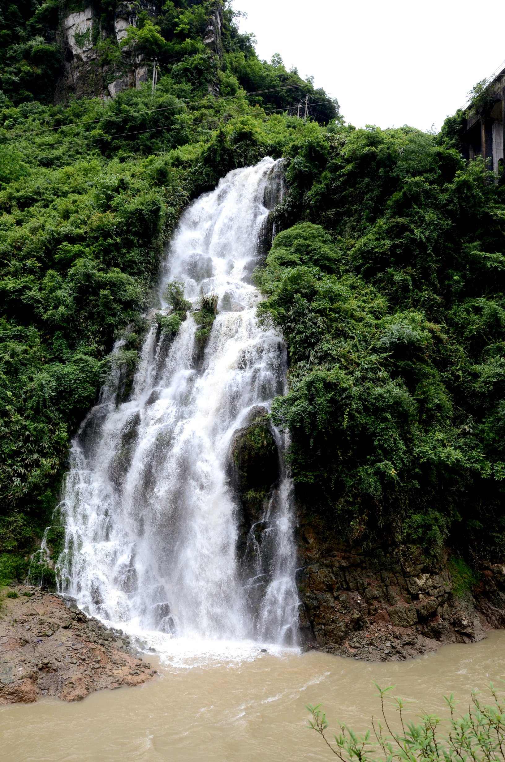 湖北秭歸有股