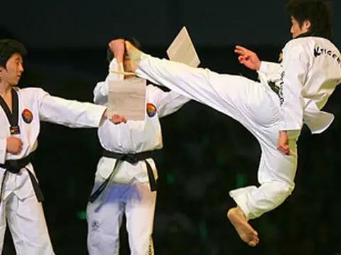 韩国虎队经典跆拳道舞图片