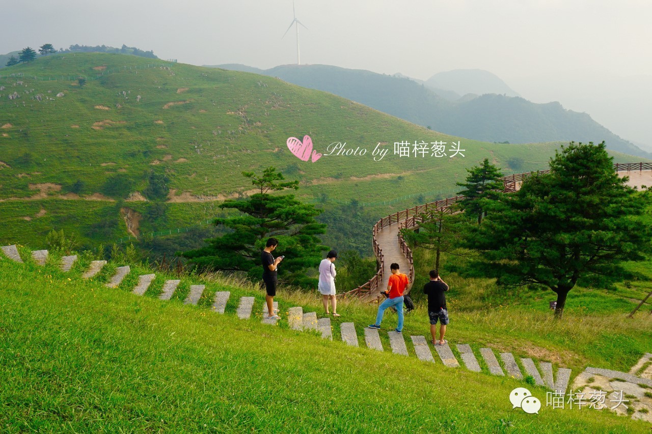 湖北宜昌:走进百里荒,寻觅山楂树之恋