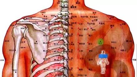 右侧后背肝区疼痛图片