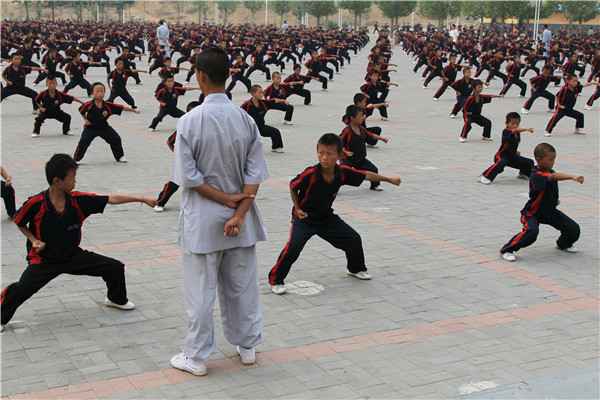 与外界同步教学,有当地教育部门直接监管,武术课有少林寺武僧亲自任教