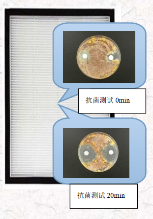 滤纸片法抑菌实验图片图片