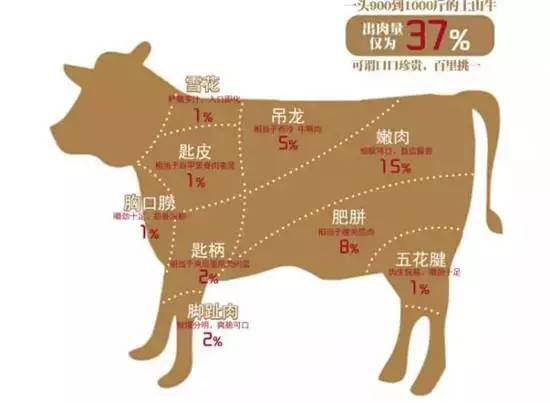 牛肉最适合涮锅的部位图片