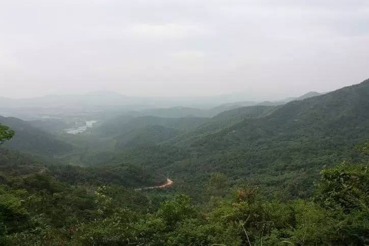 老香山是高明区第二大山,以山势雄伟,幽谷曲折回环,飞泉倾泻,山花似锦