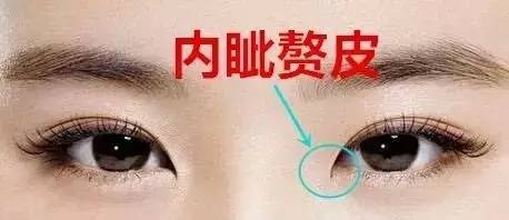 韓國美女最愛的整形手術都是哪些?