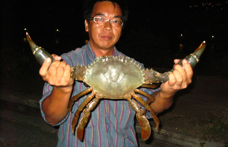世界上最大的青蟹王图片