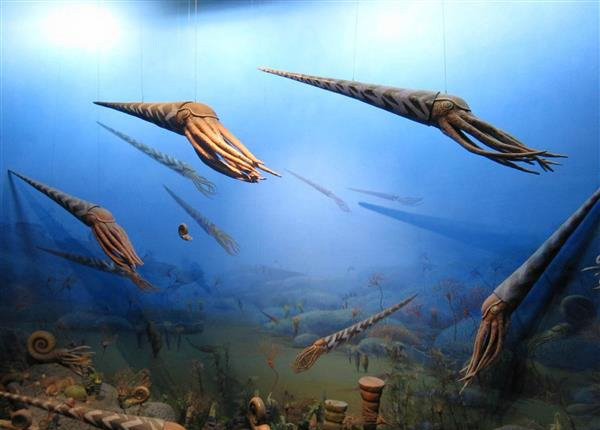 侏罗纪世界巨型鹦鹉螺图片