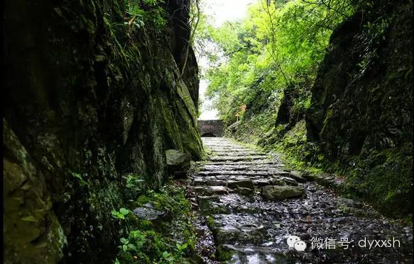 大餘梅關古道溝通中原與嶺南文明的千年古道