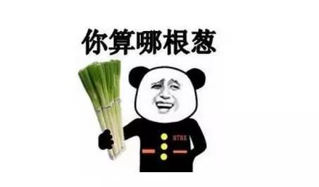 造句:你算哪根葱啊,什么事都管!