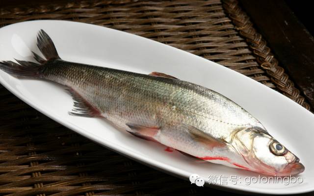 宜春鲊鱼图片