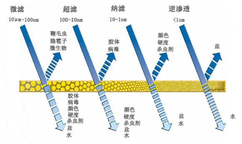 纳滤膜结构图图片