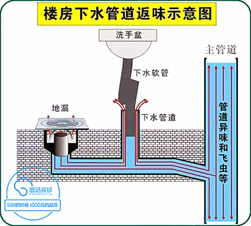 楼房下水道结构图片