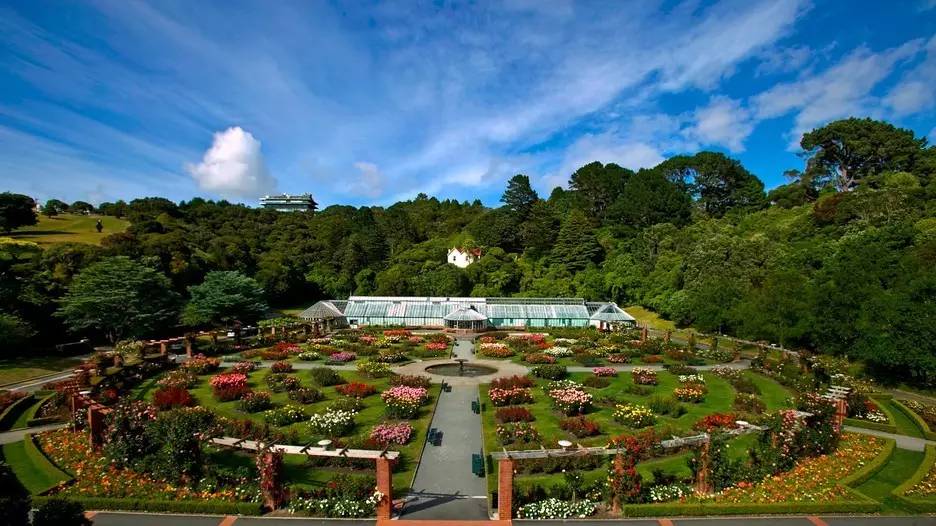 惠灵顿植物园wellington botanic garden◆参考花期:9月◆地理位置