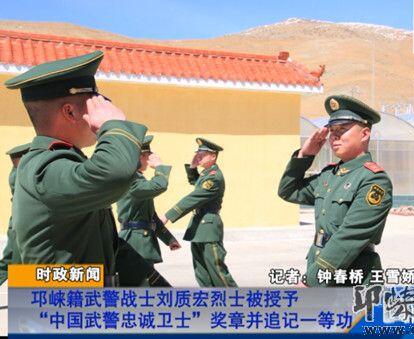 中国武警忠诚卫士奖章图片