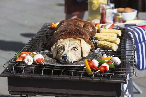 善待动物组织在特拉法加广场烤狗肉