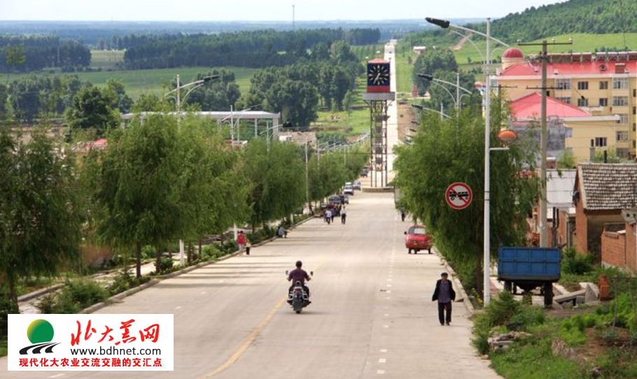 延军农场农户,走上特色致富路