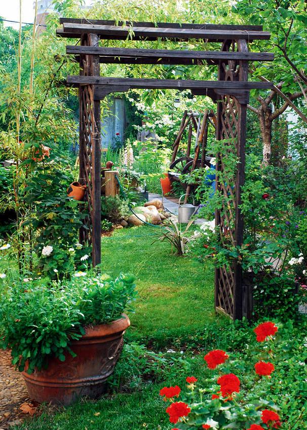 院落与人丨合肥鲜为人知的最美私家花园——莫奈花