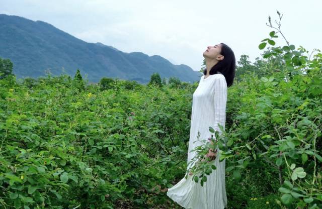 不再眷戀當個環球小姐,姑娘25歲住進深山,過起了神仙姐姐般的生活