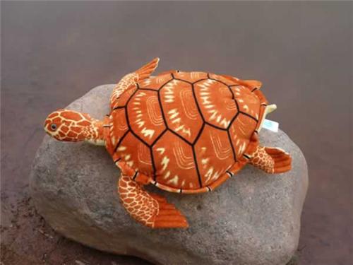宫崎骏联合荷兰画师推出新作《红色海龟》