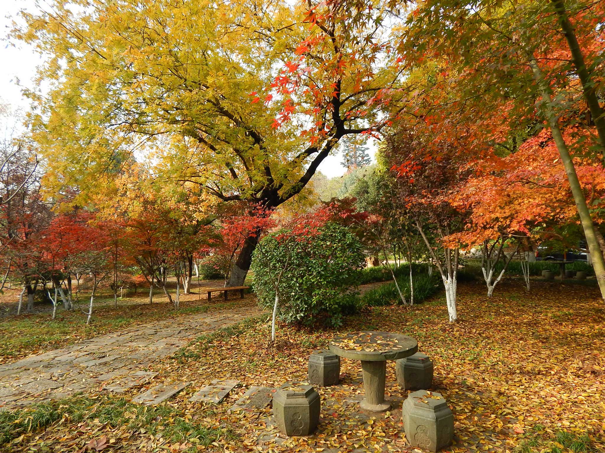 国内九大醉美秋色地   景色宜人等你来