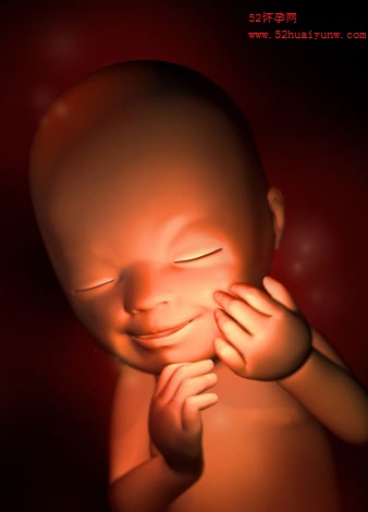 图文详解:40周胎儿发育全过程3d组图