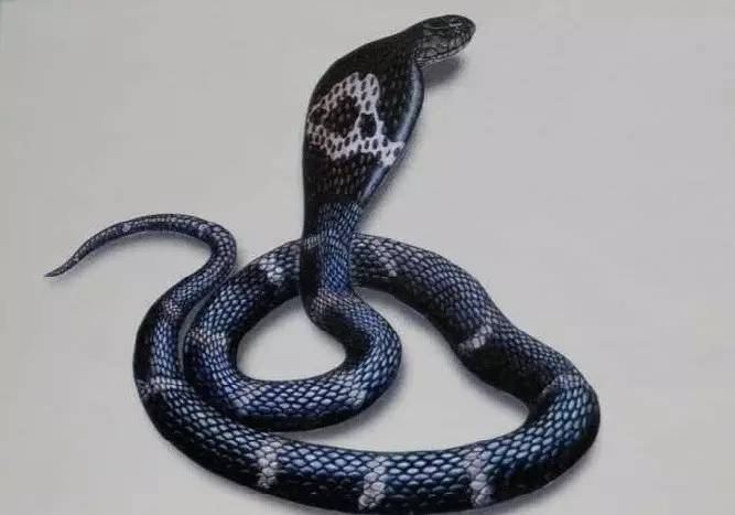 蛇精现原形现出蛇尾巴图片