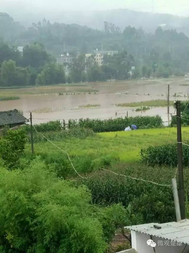 網曝楚雄州祿豐縣一平浪鎮某區域因降雨成汪洋