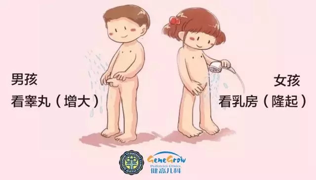 李主任:无论男孩女孩在变声或月经前都会有发育的表现,但是男孩性发育