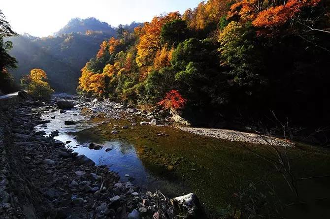 中秋國慶提前安排,10條川內秋季自駕線路曝光