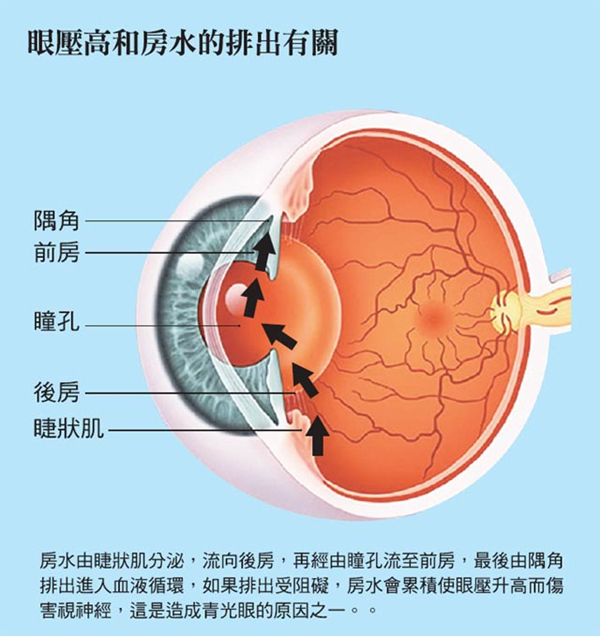 眼睛房水图片