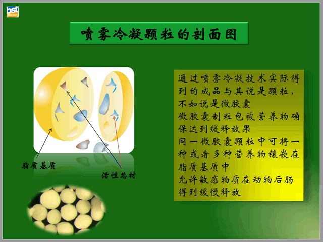 多层包被技术在奶牛生产中的应用