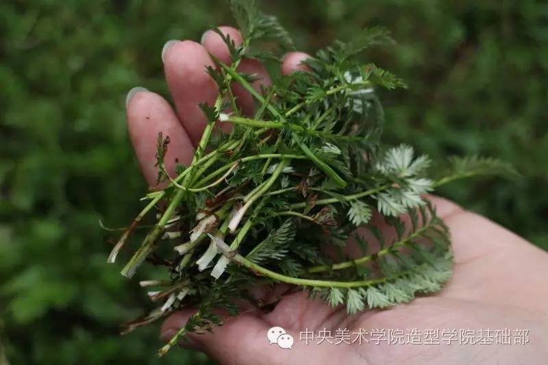 走进历史现场感悟长征精神踏上传承之路百张红军食谱创作要点