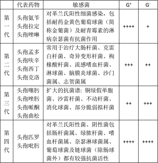 使用头孢菌素需要了解的10大要点