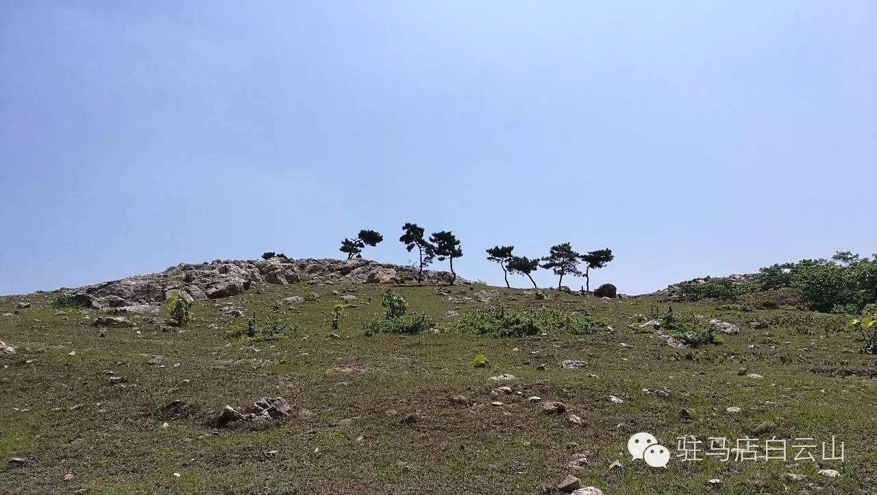 活动时间:2016年9月10日—11日 活动地点:泌阳白云山景区 活动对象