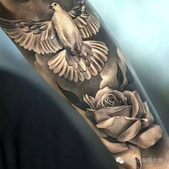 纹身素材和平鸽