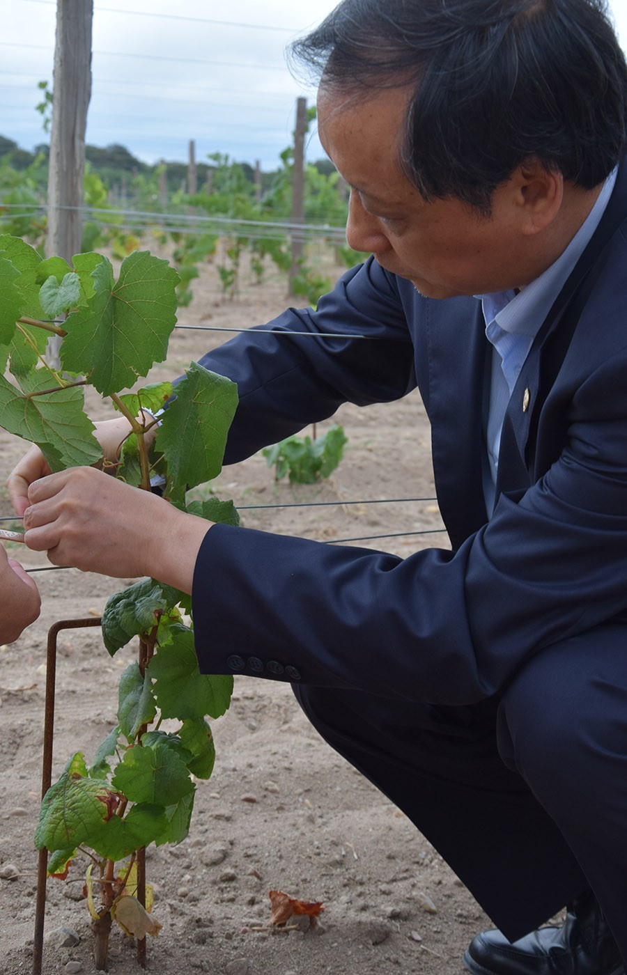 李金早家风图片